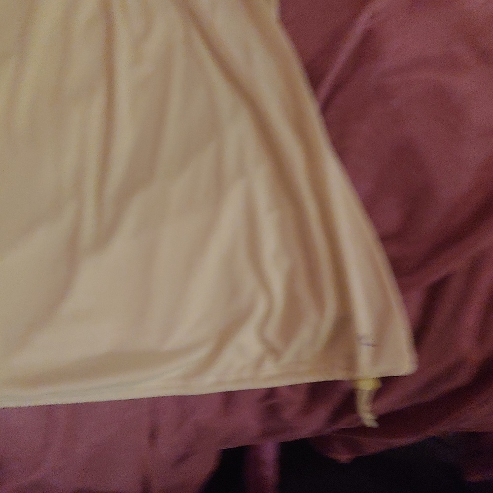 Danskin shirt